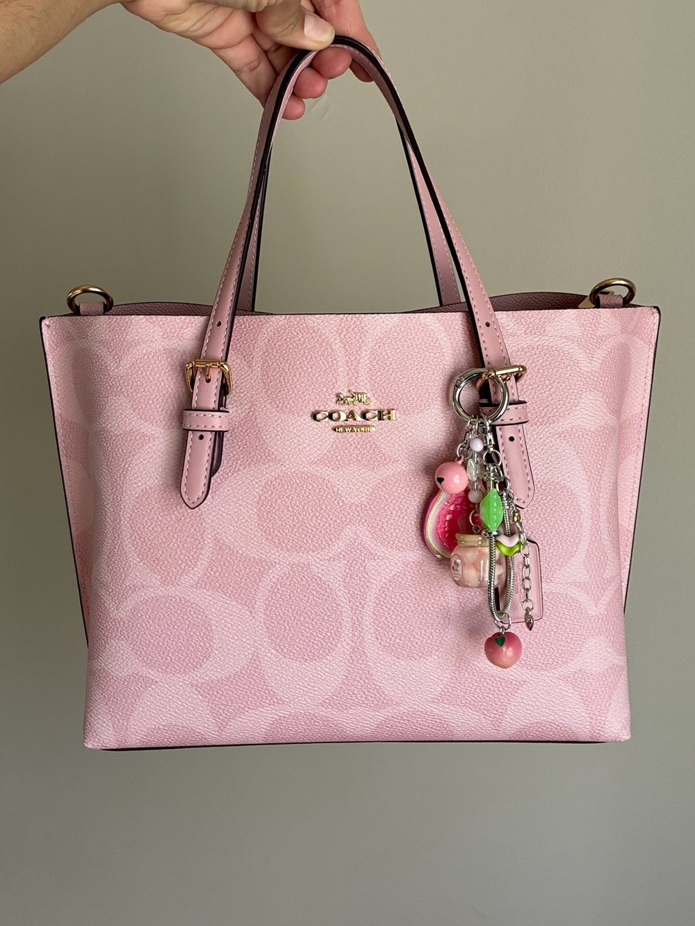 2/$25🎀 Pink Dragon Fruit Charm Keychain Bag Charm